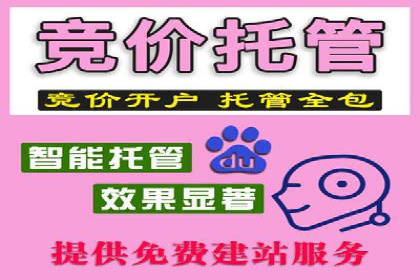 充值高返点案例分析：平台与用户双赢